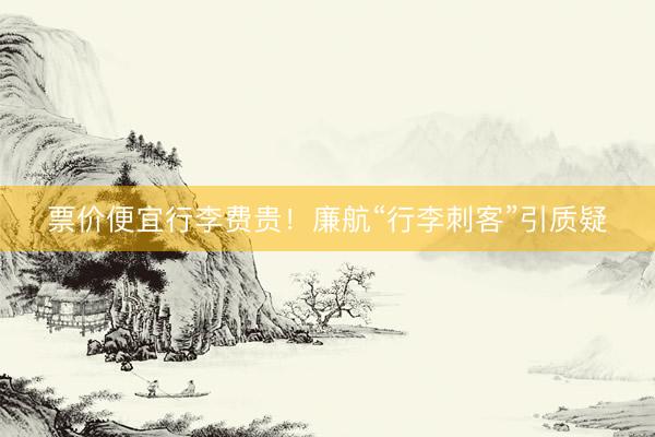 票价便宜行李费贵！廉航“行李刺客”引质疑