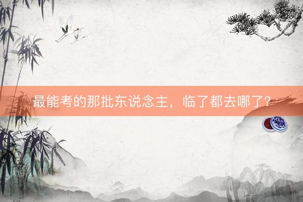 最能考的那批东说念主，临了都去哪了？